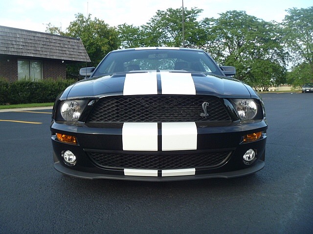 Used 2007 Ford Mustang -GT 500- LOW MILES-SHELBY FASTBACK SNAKE! | Mundelein, IL