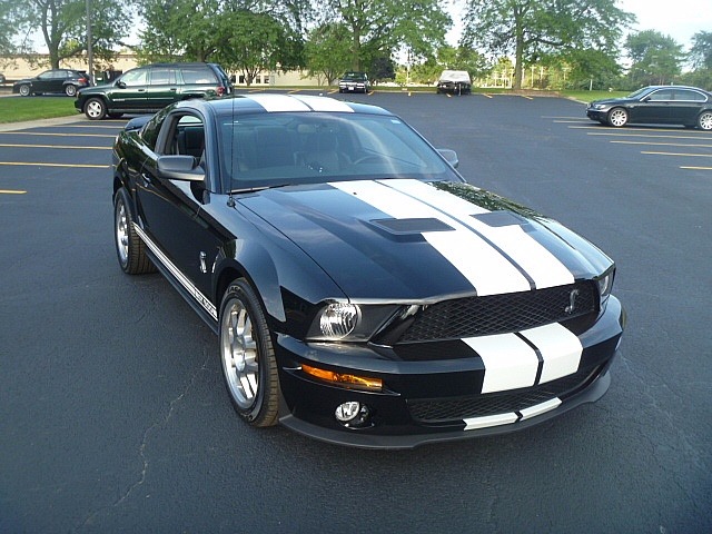 Used 2007 Ford Mustang -GT 500- LOW MILES-SHELBY FASTBACK SNAKE! | Mundelein, IL
