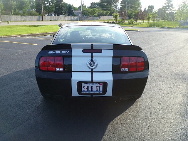 Used 2007 Ford Mustang -GT 500- LOW MILES-SHELBY FASTBACK SNAKE! | Mundelein, IL