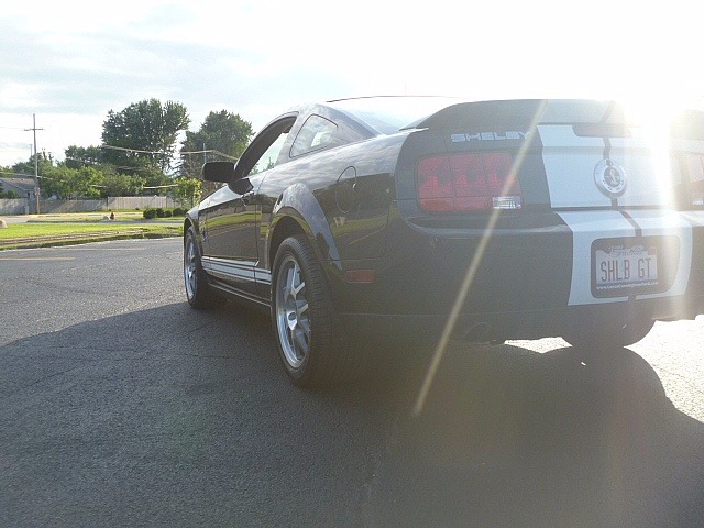 Used 2007 Ford Mustang -GT 500- LOW MILES-SHELBY FASTBACK SNAKE! | Mundelein, IL