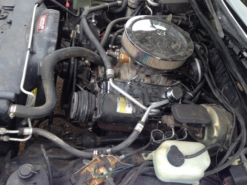 Used 1981 Chevrolet Monte Carlo - AFFORDABLE CLASSIC- | Mundelein, IL