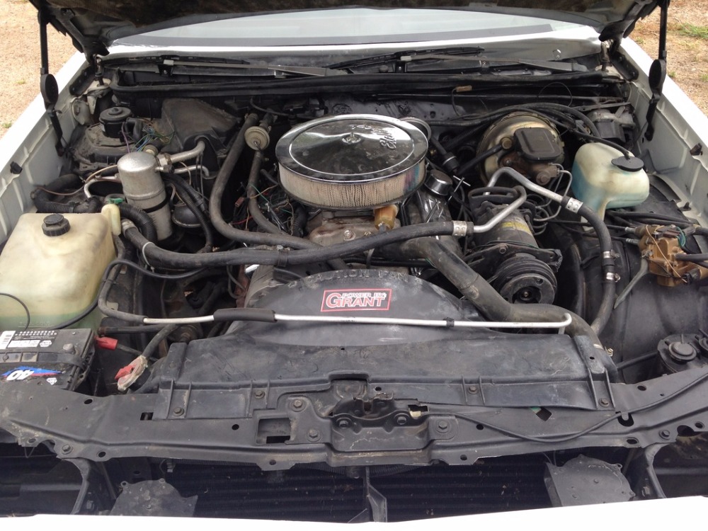 Used 1981 Chevrolet Monte Carlo - AFFORDABLE CLASSIC- | Mundelein, IL