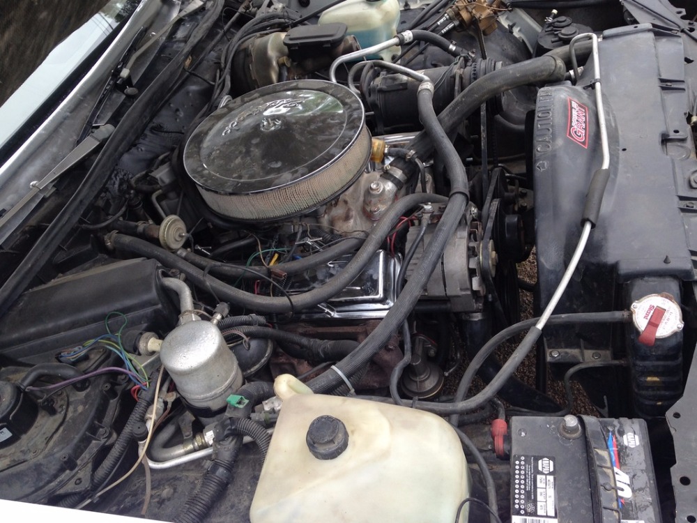 Used 1981 Chevrolet Monte Carlo - AFFORDABLE CLASSIC- | Mundelein, IL