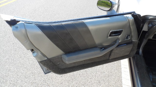 Used 1982 Chevrolet Corvette Collector Edition-Last of the C3 Model | Mundelein, IL