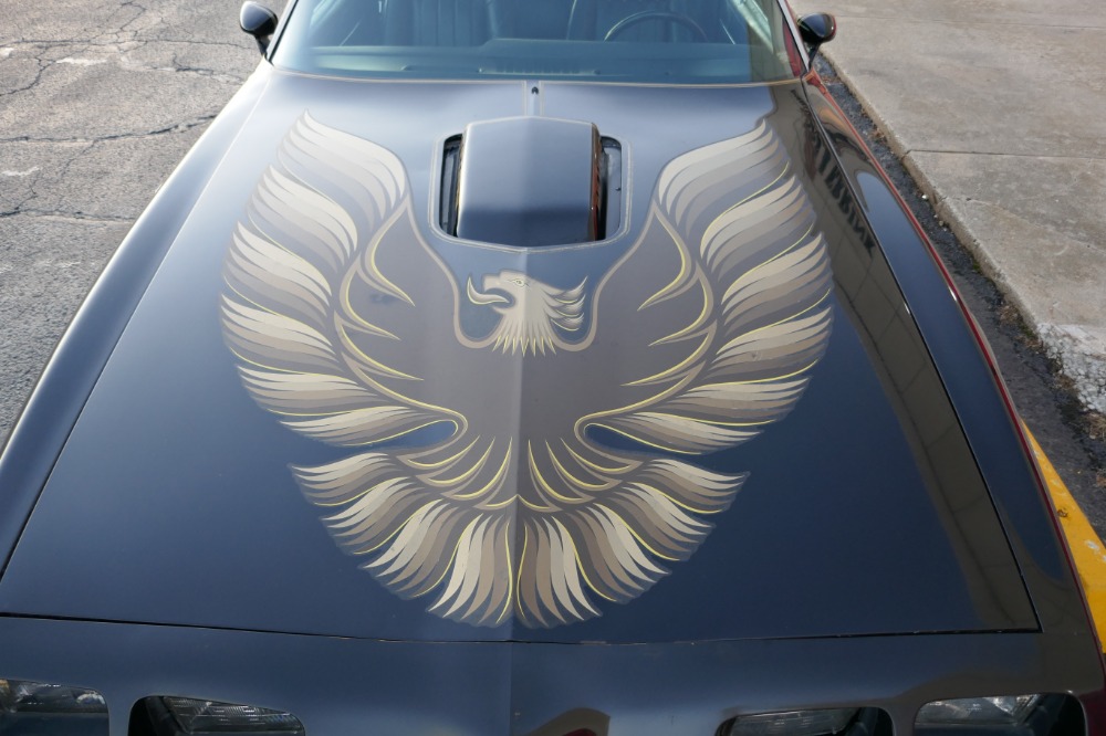 Used 1979 Pontiac Trans Am -REAL SMOKEY BANDIT Y84 SPECIAL EDITION PHS-CALI-BLUE PLATE-SEE VIDEO- | Mundelein, IL