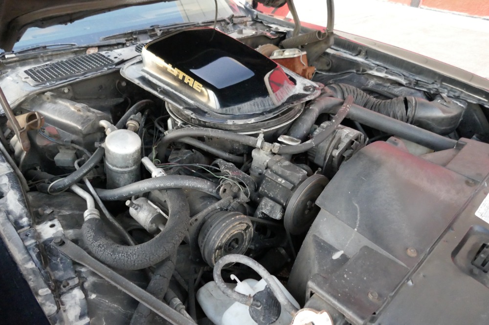 Used 1979 Pontiac Trans Am -REAL SMOKEY BANDIT Y84 SPECIAL EDITION PHS-CALI-BLUE PLATE-SEE VIDEO- | Mundelein, IL