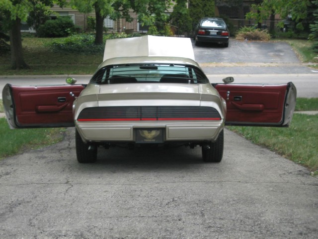 Used 1979 Pontiac Trans Am WS4----6.6-SEE VIDEO | Mundelein, IL