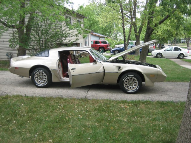 Used 1979 Pontiac Trans Am WS4----6.6-SEE VIDEO | Mundelein, IL
