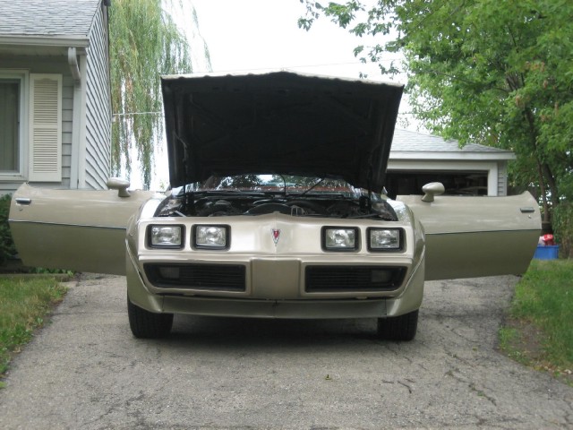 Used 1979 Pontiac Trans Am WS4----6.6-SEE VIDEO | Mundelein, IL