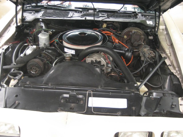 Used 1979 Pontiac Trans Am WS4----6.6-SEE VIDEO | Mundelein, IL