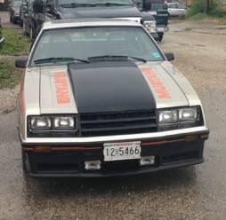 Used 1979 Ford Mustang - OFFICAL PACE CAR  5.0 L V8 MANUAL  - | Mundelein, IL