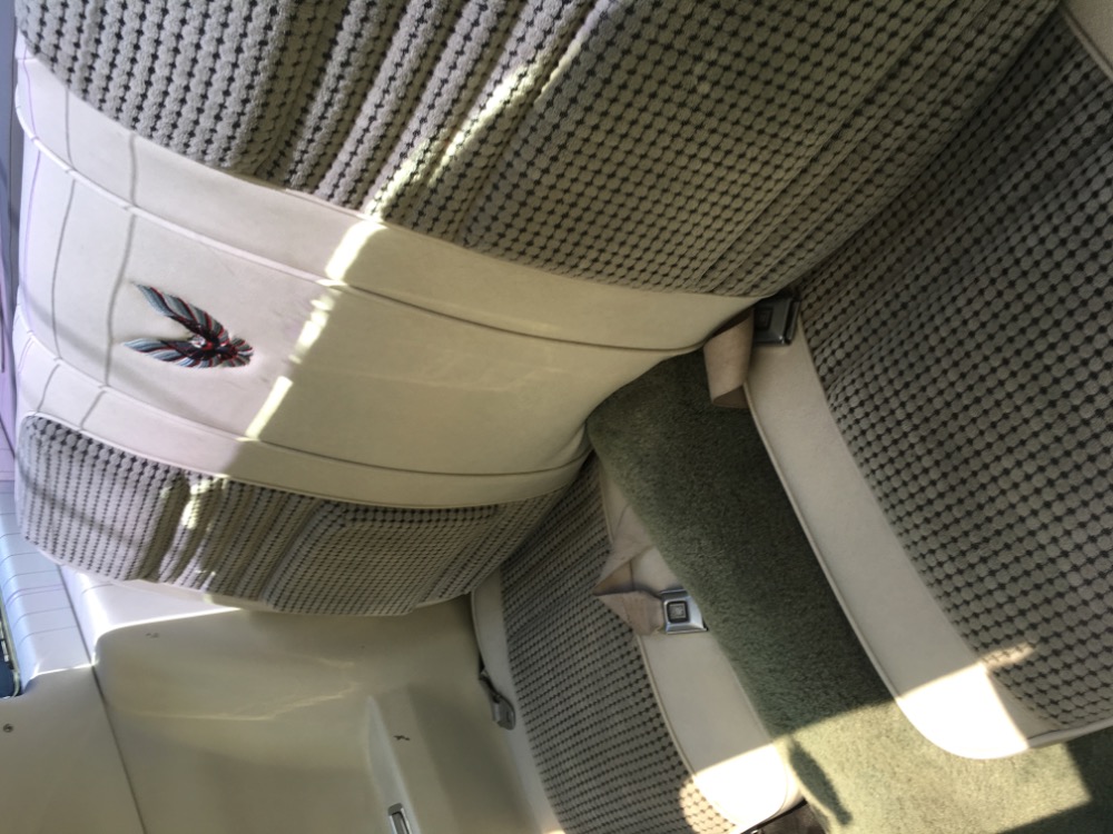 Used 1980 Pontiac Trans Am TURBO PACE CAR-ALL ORIGINAL - | Mundelein, IL
