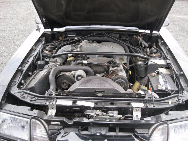 Used 1989 Ford Mustang - SALEEN- HATCHBACK - 302 V8 - | Mundelein, IL