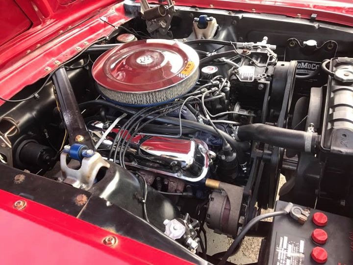 Used 1966 Ford Mustang - GT- A- CODE- CAR - GROUND UP RESTORED- | Mundelein, IL