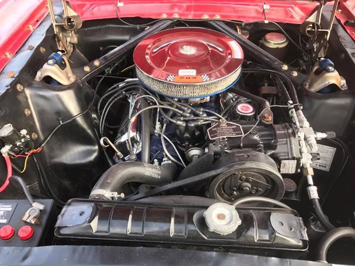 Used 1966 Ford Mustang - GT- A- CODE- CAR - GROUND UP RESTORED- | Mundelein, IL