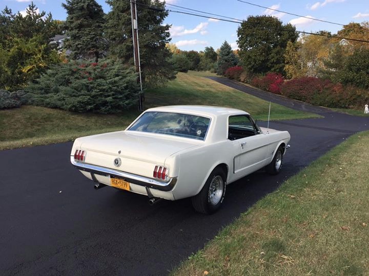 Used 1965 Ford Mustang - RESTORED PONY - GREAT QUALITY DAILY DRIVER- | Mundelein, IL