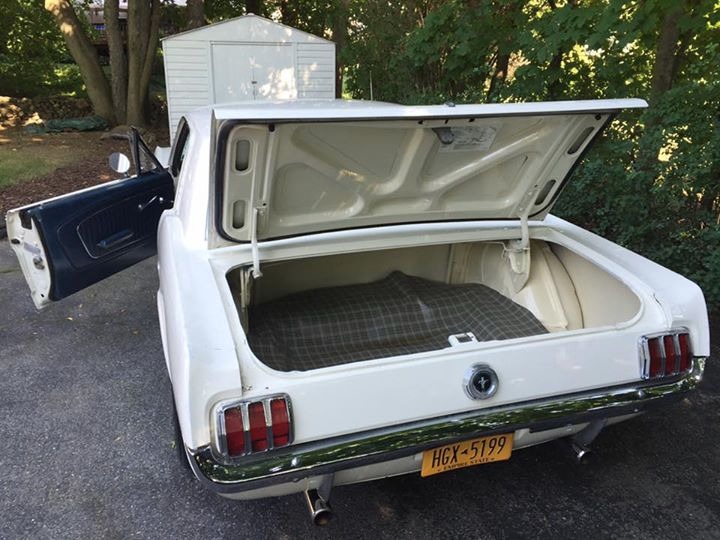 Used 1965 Ford Mustang - RESTORED PONY - GREAT QUALITY DAILY DRIVER- | Mundelein, IL