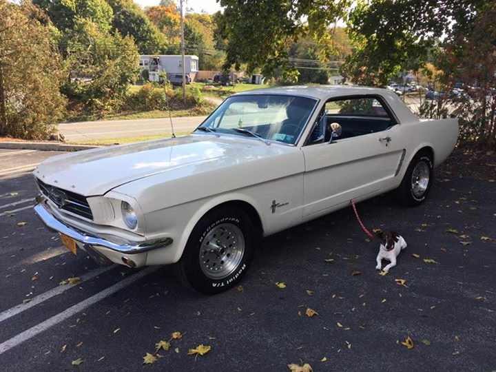 Used 1965 Ford Mustang - RESTORED PONY - GREAT QUALITY DAILY DRIVER- | Mundelein, IL