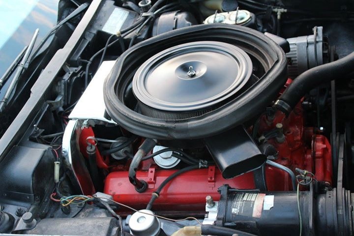 Used 1975 Chevrolet Corvette CONVERTIBLE-LAST YEAR FOR THE C3-RARE COLOR COMBO- | Mundelein, IL