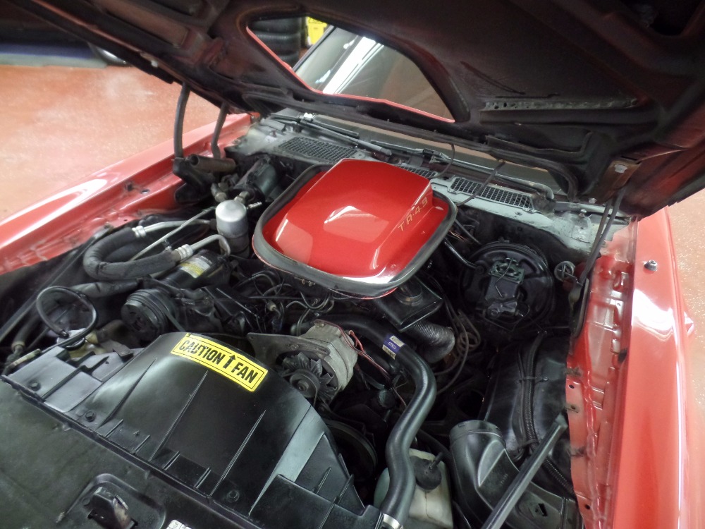 Used 1980 Pontiac Trans Am -PRICED TO SELL-CLEAN WITH T-TOPS-DRIVES GREAT- SEE VIDEO | Mundelein, IL