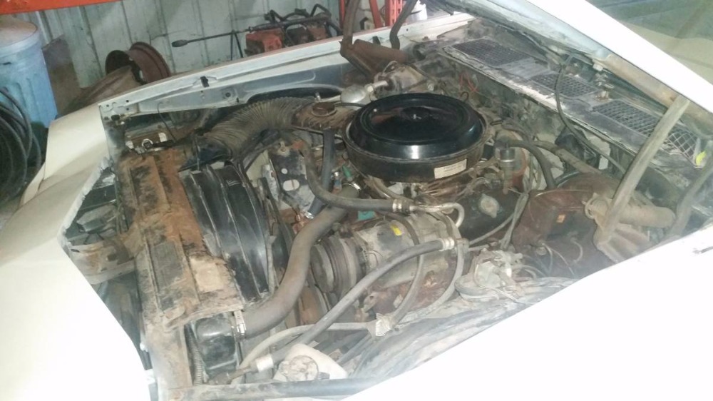 Used 1978 Chevrolet Camaro -LT- GREAT CAR - GREAT PRICE- | Mundelein, IL