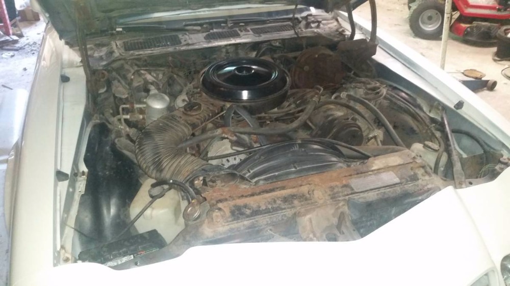 Used 1978 Chevrolet Camaro -LT- GREAT CAR - GREAT PRICE- | Mundelein, IL