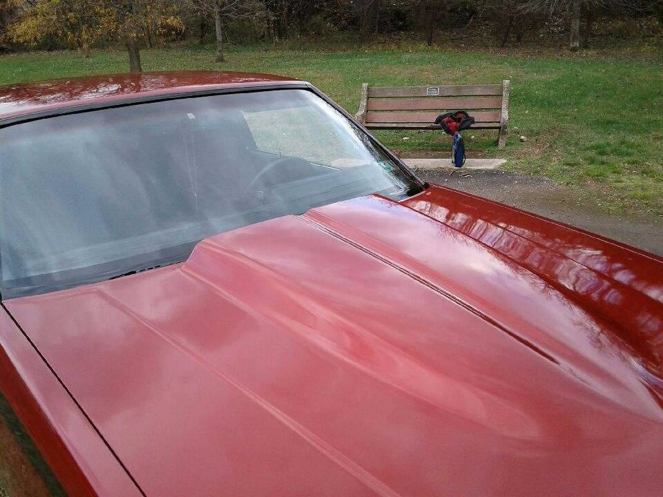 Used 1984 Buick Regal -RECENT REBUILT 430 BIG BLOCK WITH 360HP - | Mundelein, IL