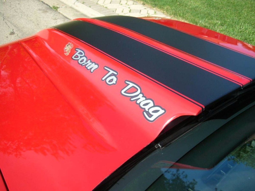Used 1988 Chevrolet Camaro -IROC Z28- FUEL INJECTED 5.7 L V8 - CONVERTIBLE | St. Petersburg, FL