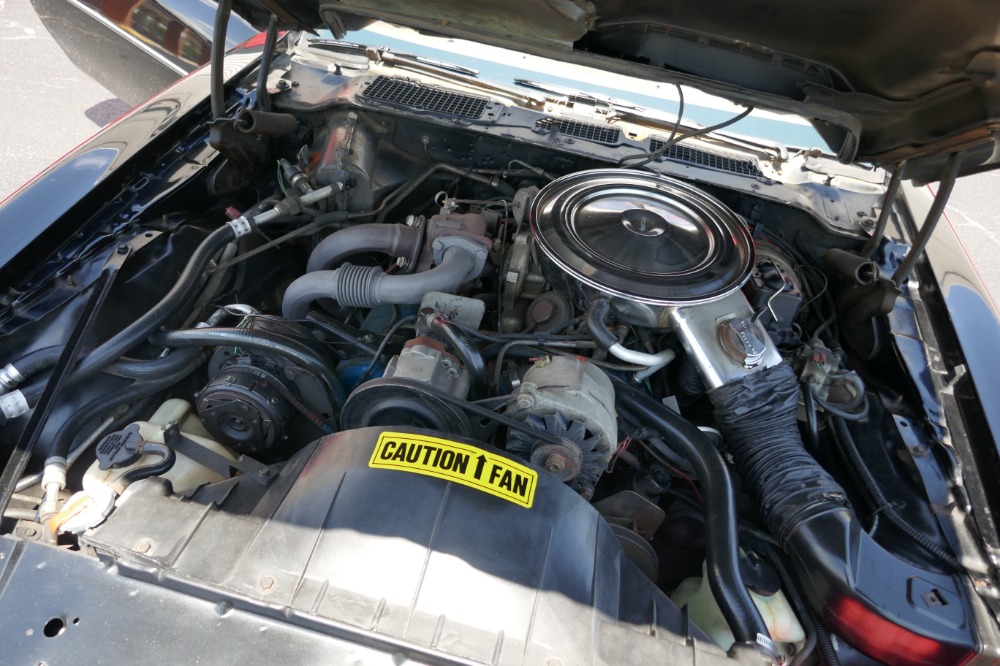 Used 1980 Pontiac Trans Am -NEW LOW PRICE-SMOKEY & THE BANDIT-ORIGINAL PAINT- Only 40k Miles-SEE VIDEO | Mundelein, IL