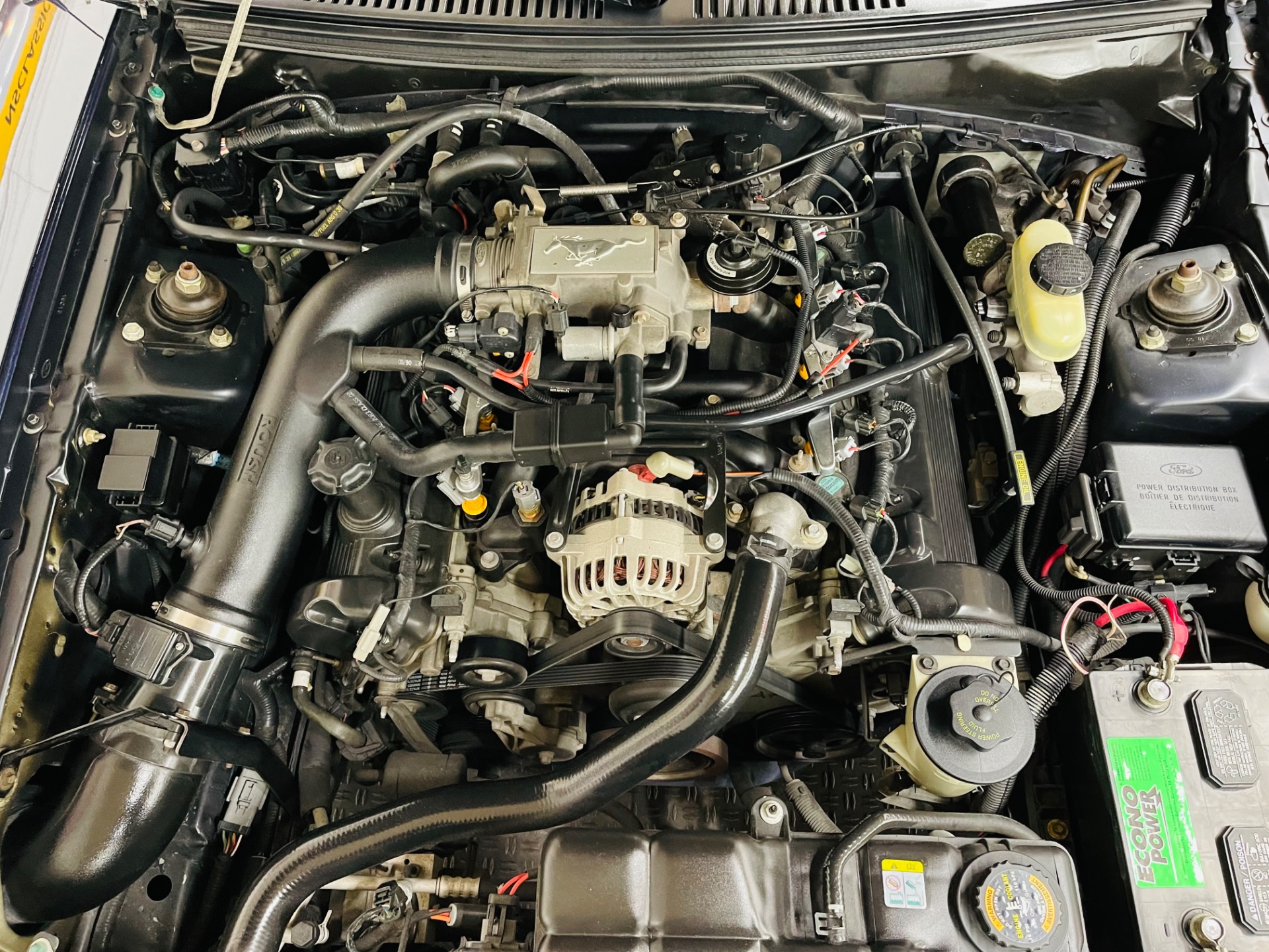 Used 2001 Ford Mustang - CONVERTIBLE ROUSH - 5 SPEED MANUAL -SEE VIDEO | St. Petersburg, FL