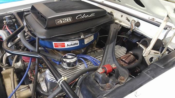 Used 1969 Ford Mustang -MACH 1-R CODE -BUILT 428- | Mundelein, IL