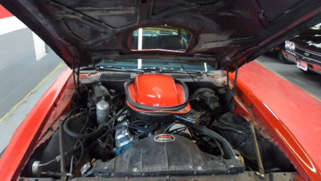 Used 1978 Pontiac Trans Am Original-SEE VIDEO- | Mundelein, IL