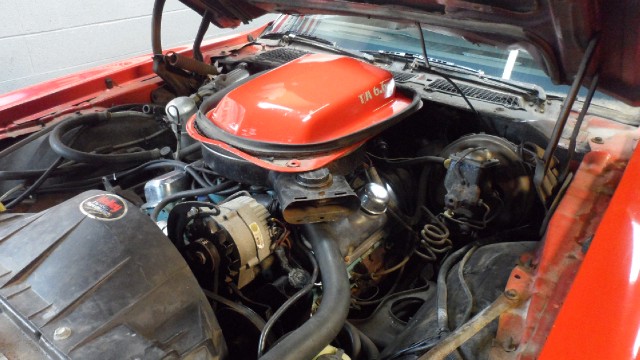 Used 1978 Pontiac Trans Am Original-SEE VIDEO- | Mundelein, IL