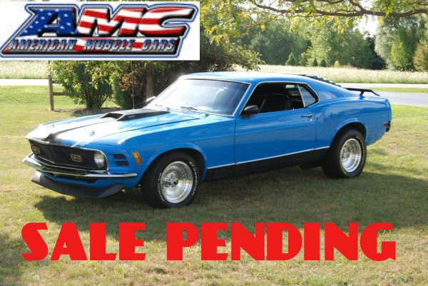 Used 1970 Ford Mustang Fastback-302 Engine | Mundelein, IL