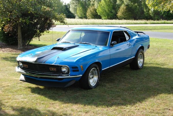 Used 1970 Ford Mustang Fastback-302 Engine | Mundelein, IL