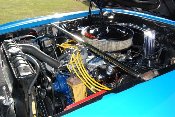 Used 1970 Ford Mustang Fastback-302 Engine | Mundelein, IL