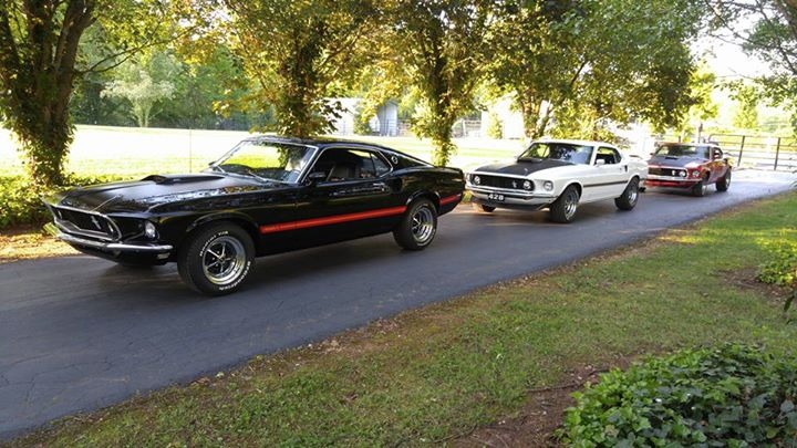 Used 1969 Ford Mustang -MACH 1- M-CODE- 351 ENGINE- MARTI REPORT | Mundelein, IL