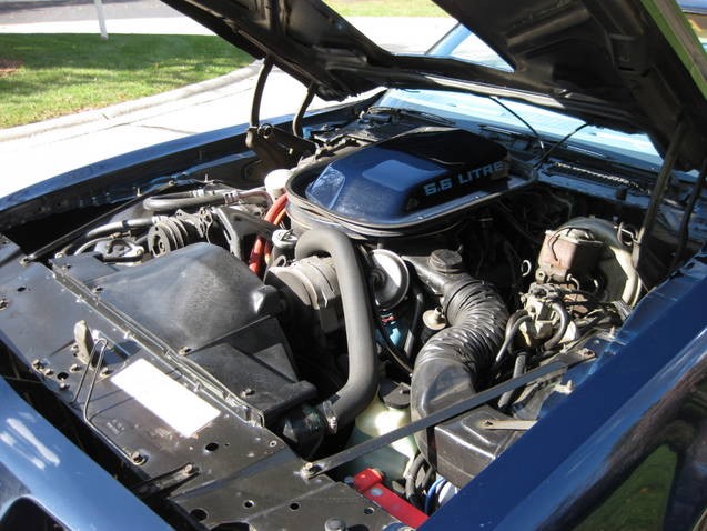 Used 1979 Pontiac Trans Am -Numbers Matching---SEE VIDEO | Mundelein, IL