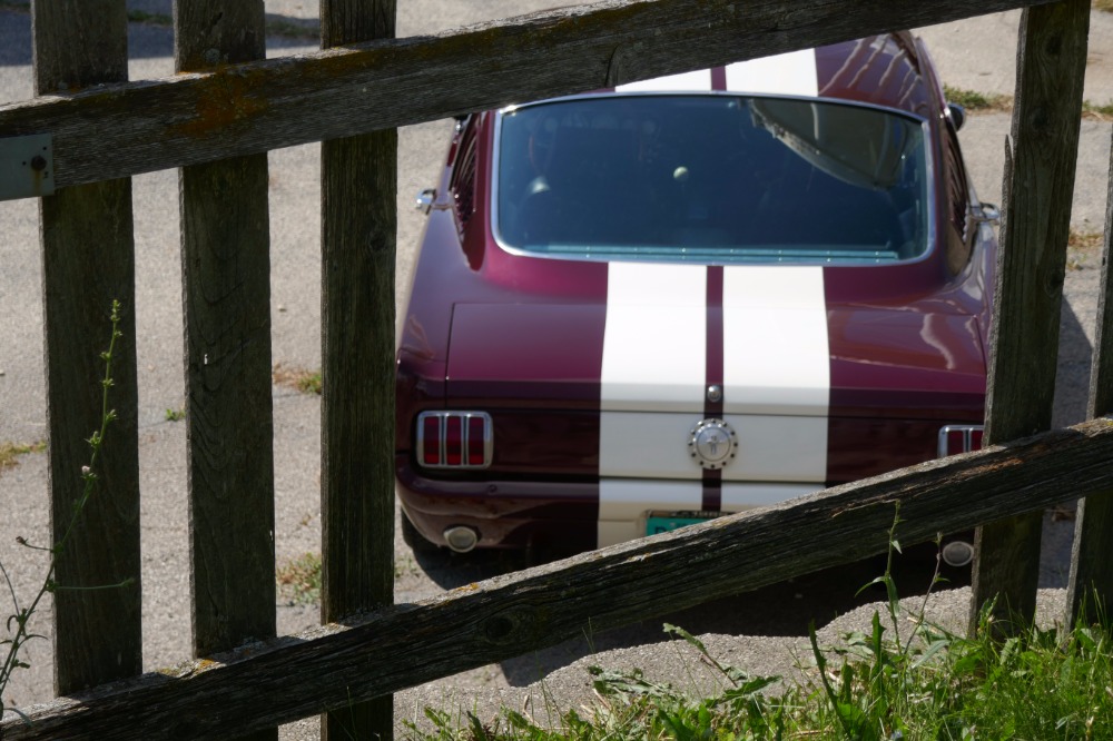 Used 1965 Ford Mustang -FASTBACK-COMPLETE RESTO MOD-PRO TOURING-SEE VIDEO | Mundelein, IL