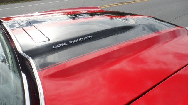 Used 1970 Chevrolet Chevelle SS396-Show Quality-SEE VIDEO | Mundelein, IL