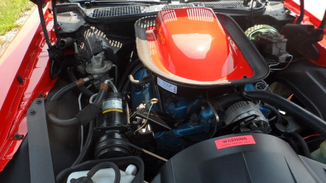 Used 1975 Pontiac Trans Am 455HO-PHS docs-ROSTISSERIE RESTORED- 1 of 856 BUILT-SEE VIDEO | Mundelein, IL
