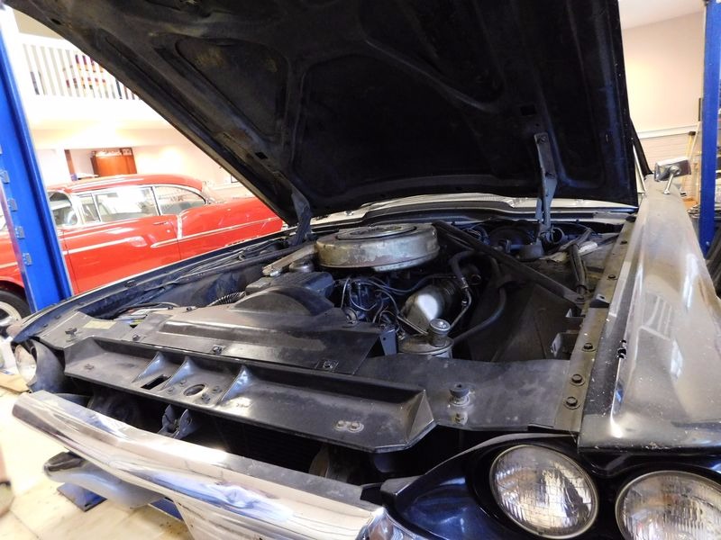 Used 1964 Ford Thunderbird -RARE CONVERTIBLE SURVIVOR- NUMBERS MATCHING 390/AUTO 300HP- | Mundelein, IL