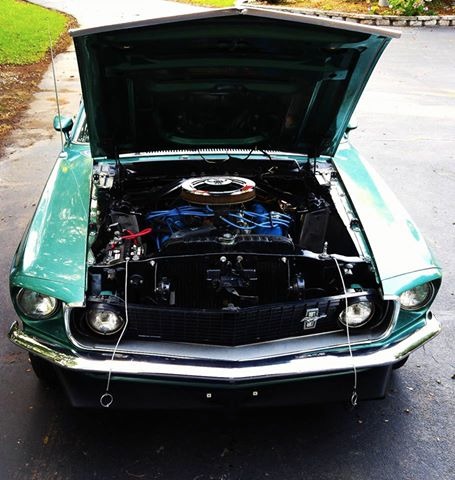 Used 1969 Ford Mustang - MACH 1- TRUE M-CODE SILVER JADE CLASSIC- | Mundelein, IL