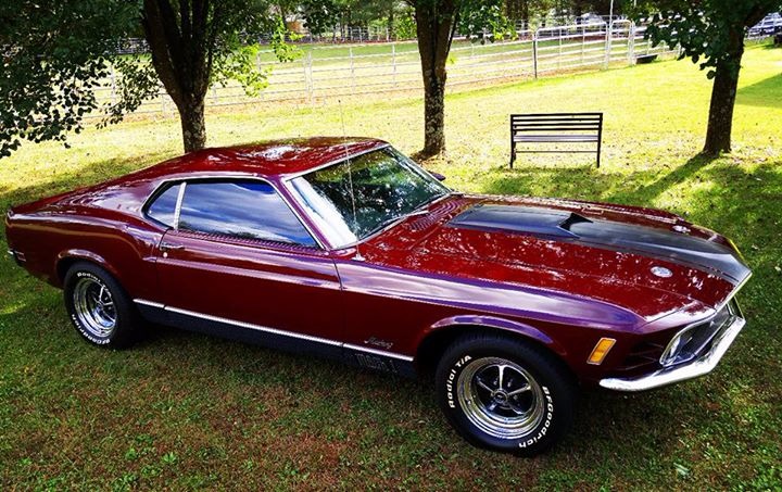 Used 1970 Ford Mustang -M-CODE- MACH 1- WITH MARTI REPORT- | Mundelein, IL