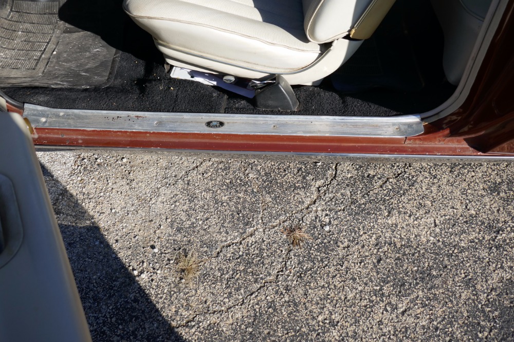 Used 1969 Pontiac Grand Prix -ORIGINAL PAINT -NUMBERS MATCHING-SURVIVOR- ALWAYS FAMILY OWNED  -SEE VIDEO | Mundelein, IL