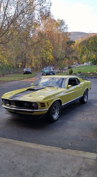 Used 1970 Ford Mustang -FASTBACK-M CODE 351- MACH 1 - MARTI REPORT | Mundelein, IL