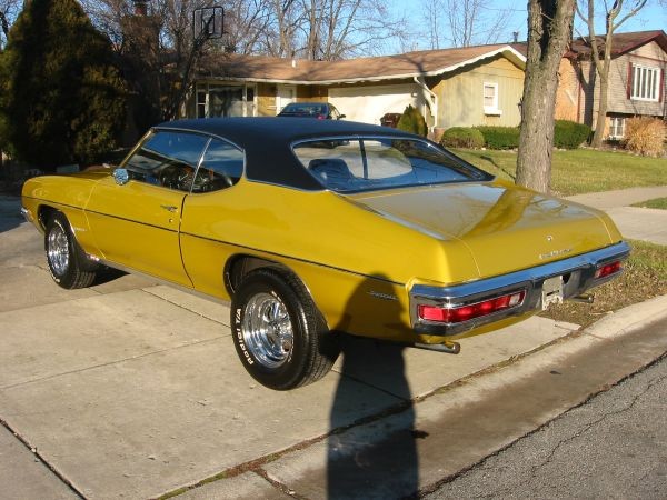 Used 1972 Lemans Just in  | Mundelein, IL