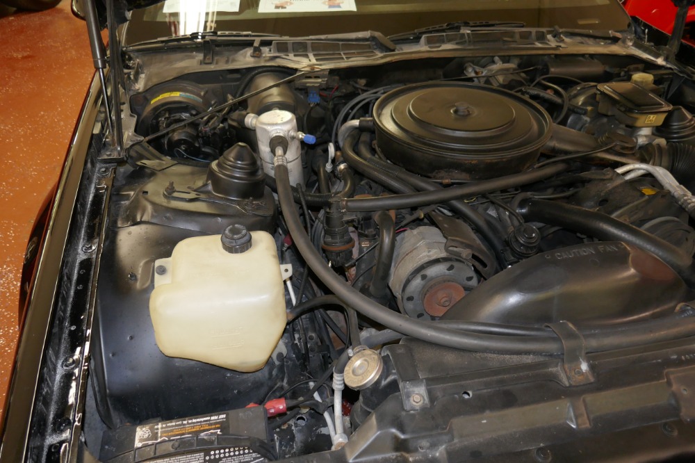 Used 1985 Chevrolet Camaro -IROC Z28-T-TOPS/ 5 SPD-LOW  MILES - SEE VIDEO | Mundelein, IL