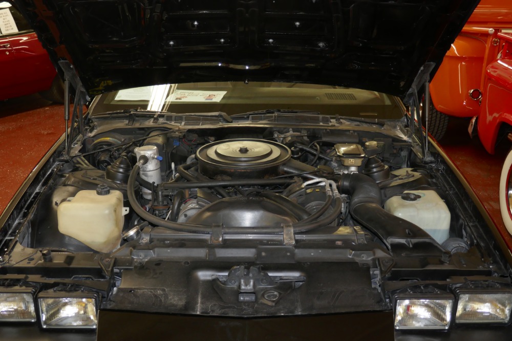 Used 1985 Chevrolet Camaro -IROC Z28-T-TOPS/ 5 SPD-LOW  MILES - SEE VIDEO | Mundelein, IL