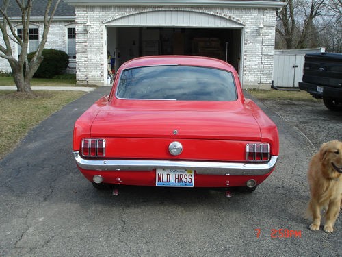Used 1966 Ford Mustang Fastback-2 + 2-New Lowered Price | Mundelein, IL